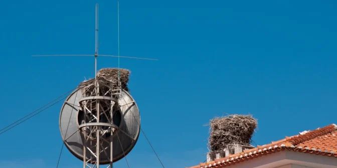 Begini Cara Kerja VSAT yang Bikin Internet Tetap Jalan di Wilayah Pelosok