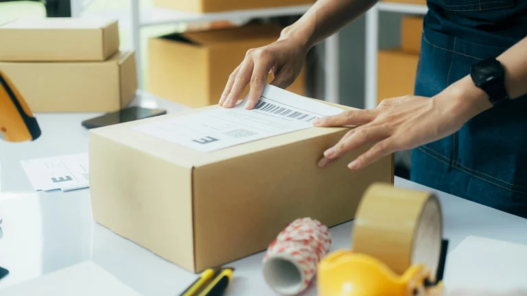 Panduan Labeling IMDA (Singapore Type Approval)