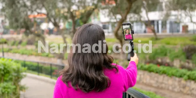 memilih gimbal stabilizer