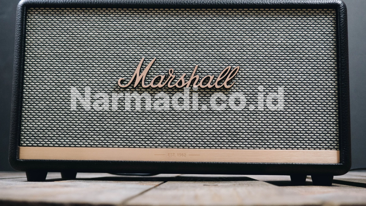 Kelebihan Amplifier Bluetooth yang Bikin Hidup Lebih Praktis