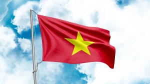 sertifikasi mst/vnta - Narmadi.co.id