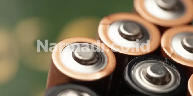 memilih gimbal stabilizer