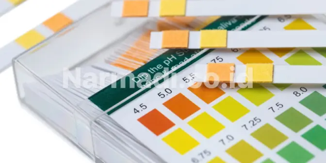 8 Keunggulan Urinalysis Analyzer yang Bikin Proses Tes Urin Lebih Cepat dan Akurat