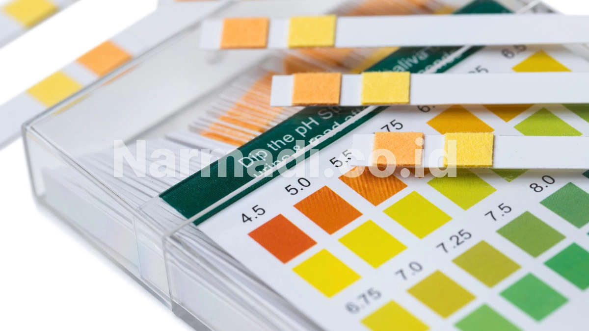 Keunggulan Urinalysis Analyzer yang Bikin Proses Tes Urin Lebih Cepat dan Akurat