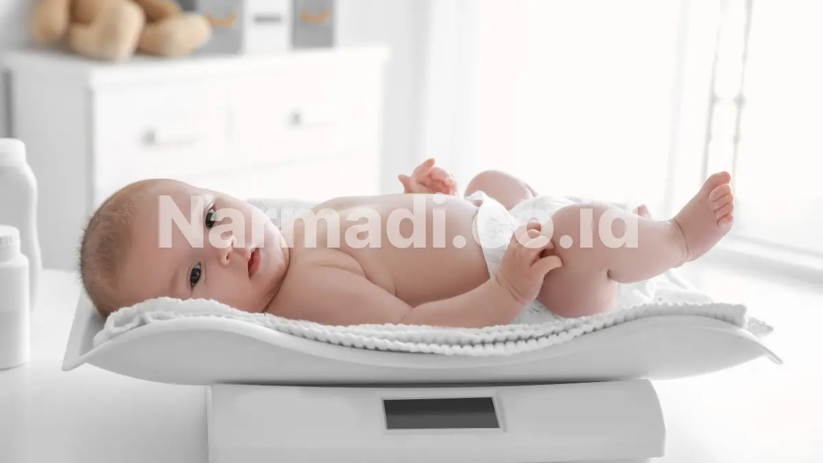 timbangan bayi - Narmadi.co.id