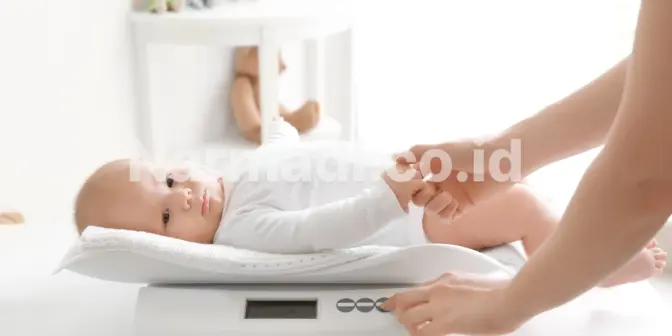 Mengenal Fitur Timbangan Bayi Modern yang Banyak Dipakai di Fasilitas Kesehatan