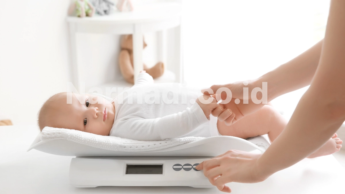 Fitur Timbangan Bayi Modern yang Banyak Dipakai di Fasilitas Kesehatan