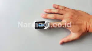 fingertip oximeter - Narmadi.co.id
