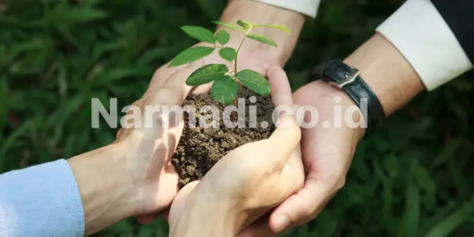 Perbedaan ESL dan Label Harga Konvensional yang Perlu Anda Pahami