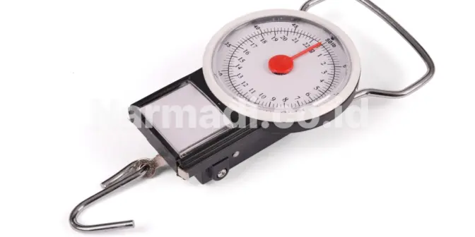 Jenis Timbangan Bayi yang Umum Digunakan di Fasilitas Kesehatan Indonesia