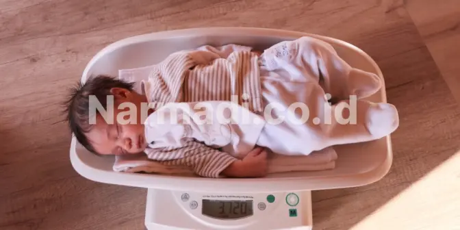 Mengenal Fitur Timbangan Bayi Modern yang Banyak Dipakai di Fasilitas Kesehatan