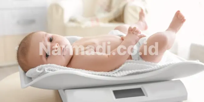 Jenis Timbangan Bayi yang Umum Digunakan di Fasilitas Kesehatan Indonesia