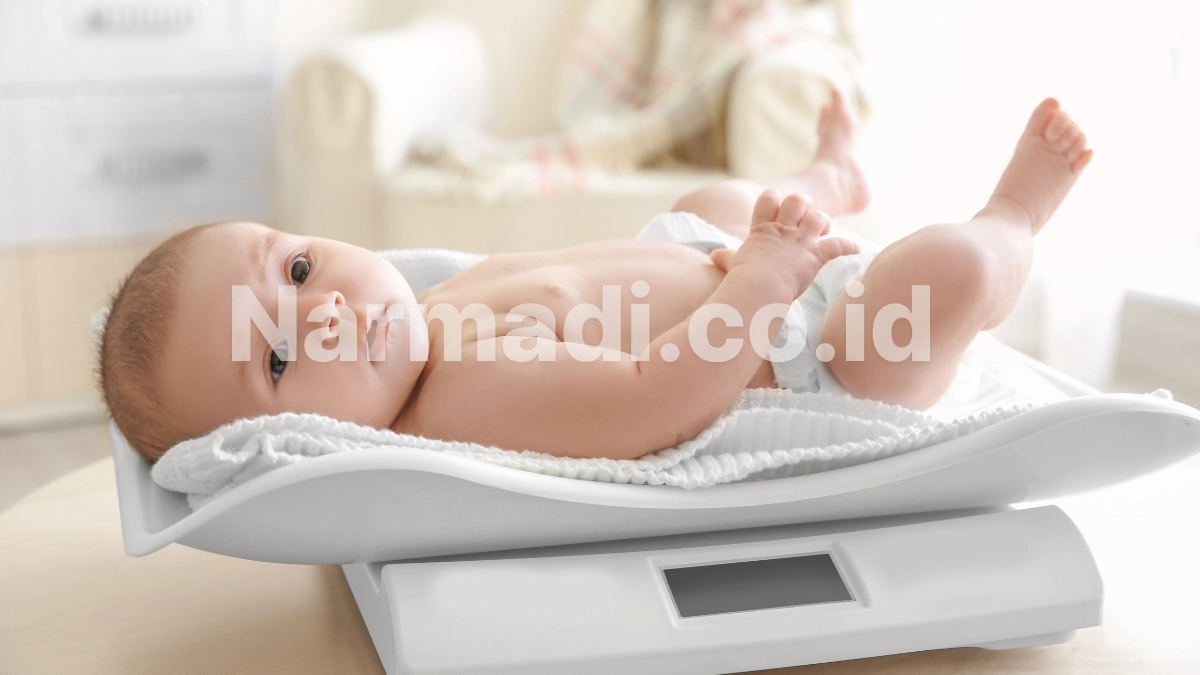 Jenis Timbangan Bayi