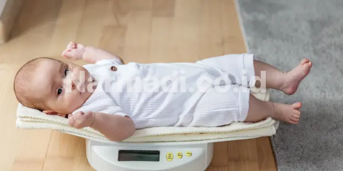 Jenis Timbangan Bayi yang Umum Digunakan di Fasilitas Kesehatan Indonesia