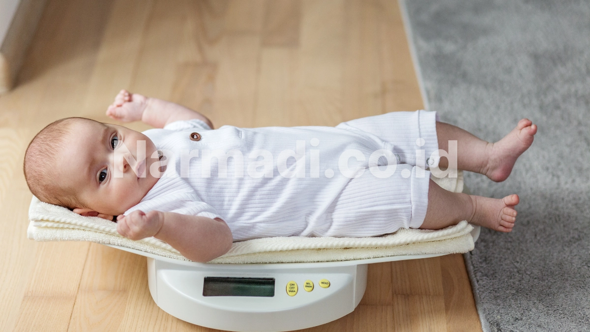 Jenis Timbangan Bayi