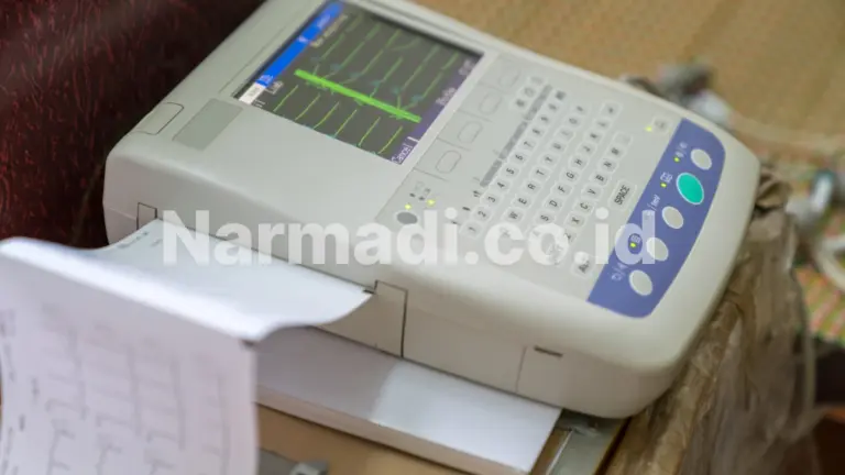 Cara Kerja Elektrokardiograf: Dari Sinyal Listrik hingga Grafik