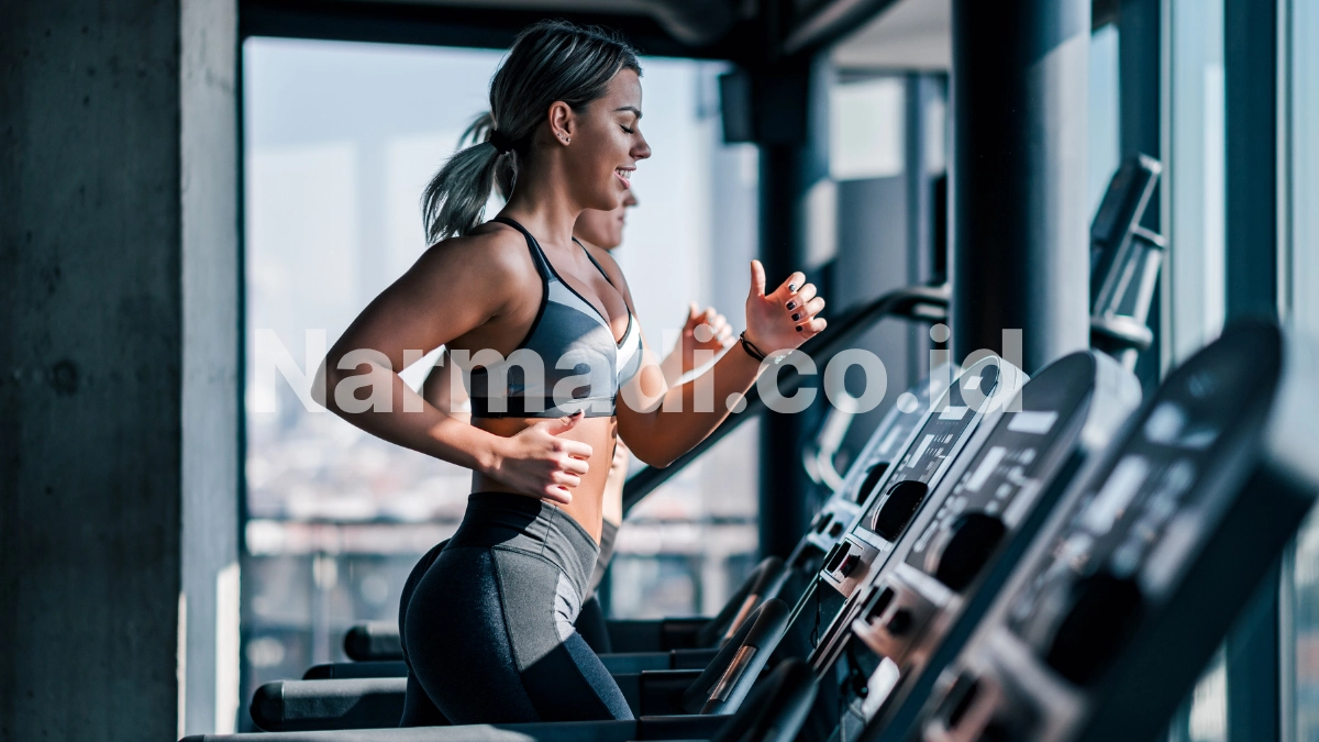 kelebihan motorized treadmill - Narmadi.co.id