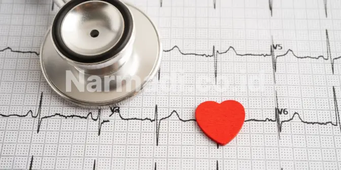 7 Fungsi Elektrokardiograf yang Jarang Dibahas tapi Penting untuk Jantung Anda