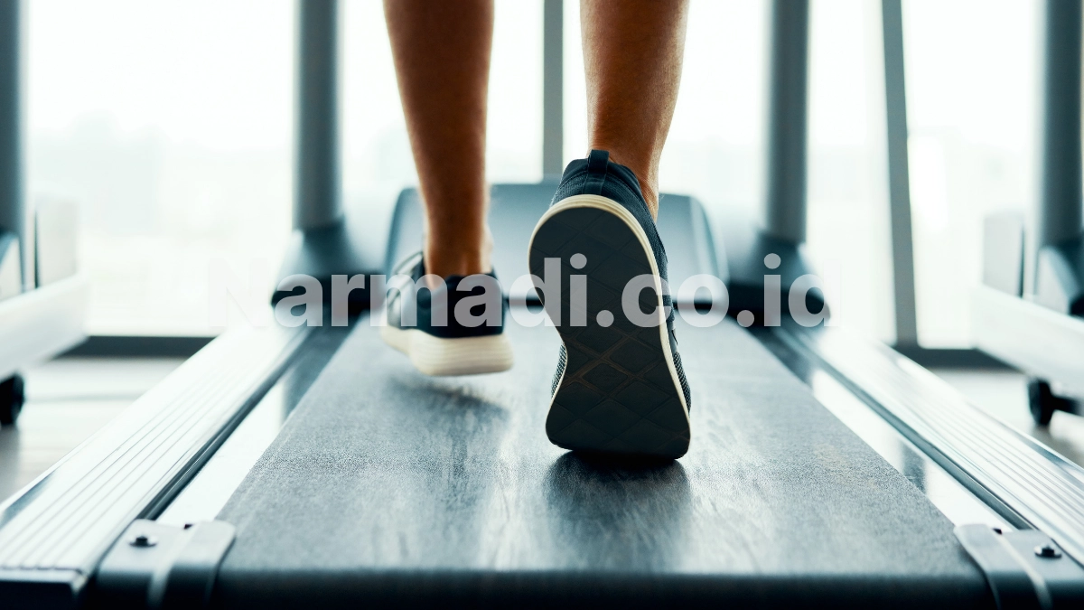 Apa itu Motorized Treadmill?