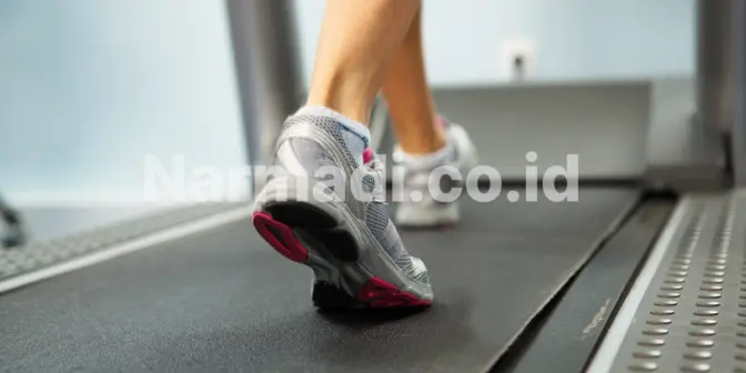 Kelebihan Motorized Treadmill Dibandingkan Alat Kardio Lainnya