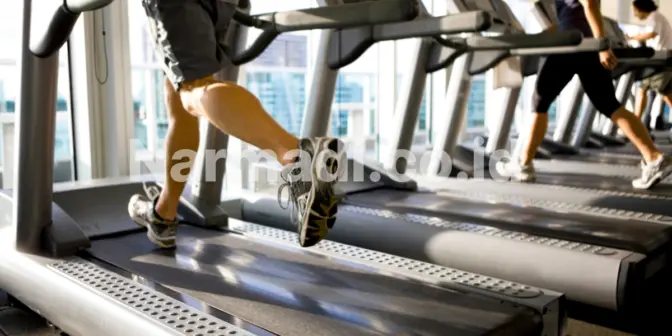 Kelebihan Motorized Treadmill Dibandingkan Alat Kardio Lainnya