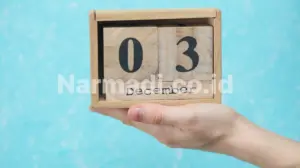 waktu tunggu sertifikasi nbtc - Narmadi.co.id