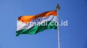 regulator sertifikasi perangkat di india - Narmadi.co.id