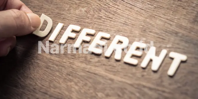 regulator sertifikasi perangkat di india