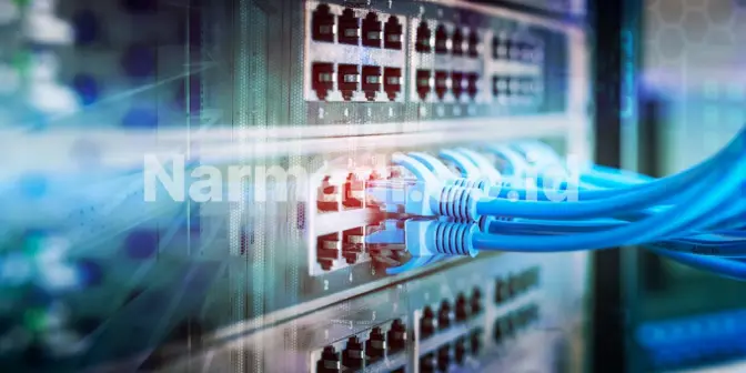 produk wajib untuk type approval di india